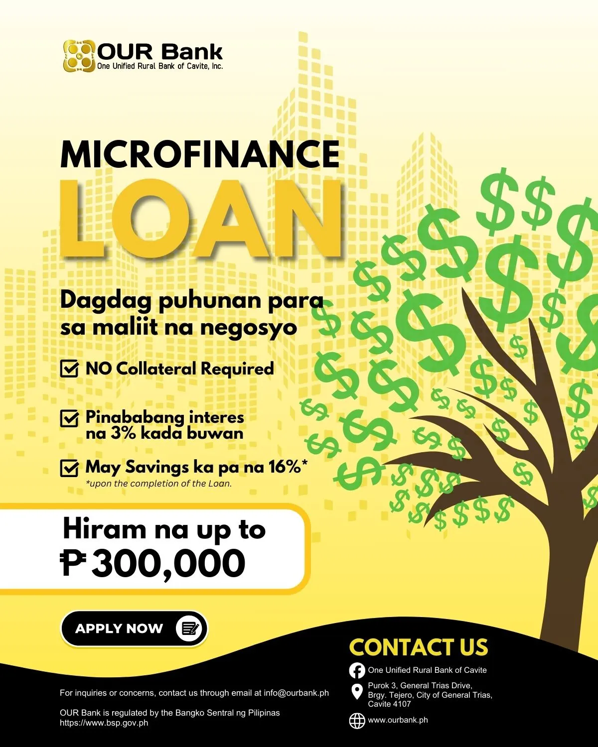 Microfinance Loan