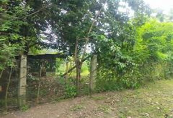 Property 4